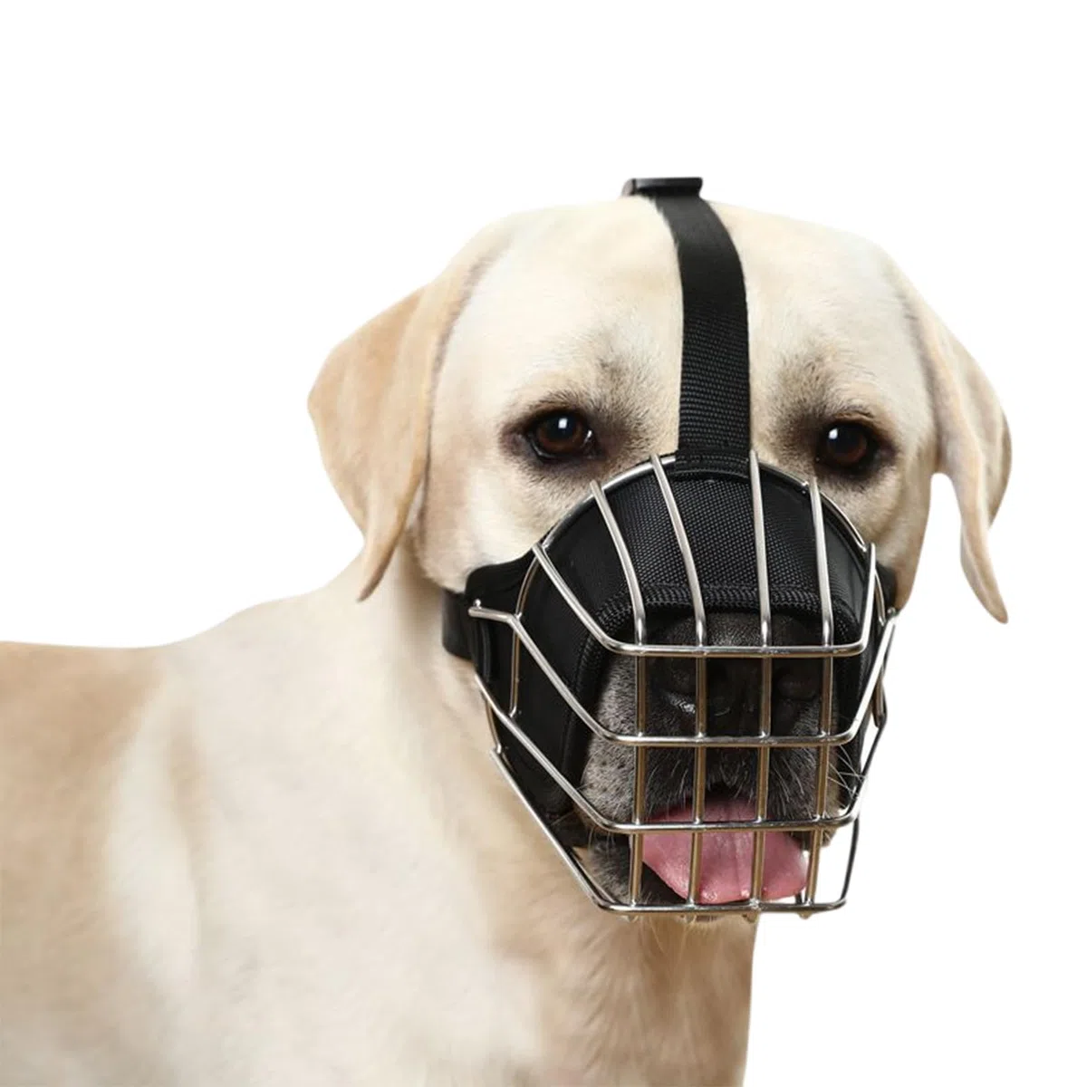Bozal para Perros, Bozal antiladridos for Perros, con Cesta de Alambre, Protector bozal for, metálico, cómodo, Transpirable y Ajustable(M)