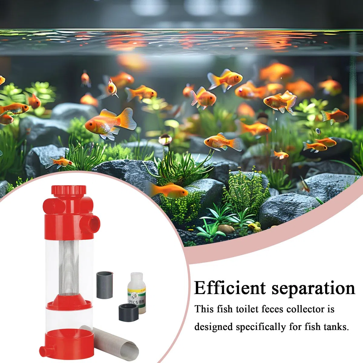 Recolector De Excrementos De Pescado Separador Filtro de Excrementos para | Equipo de Limpieza, Separador Externo para Peceras y Acuarios
