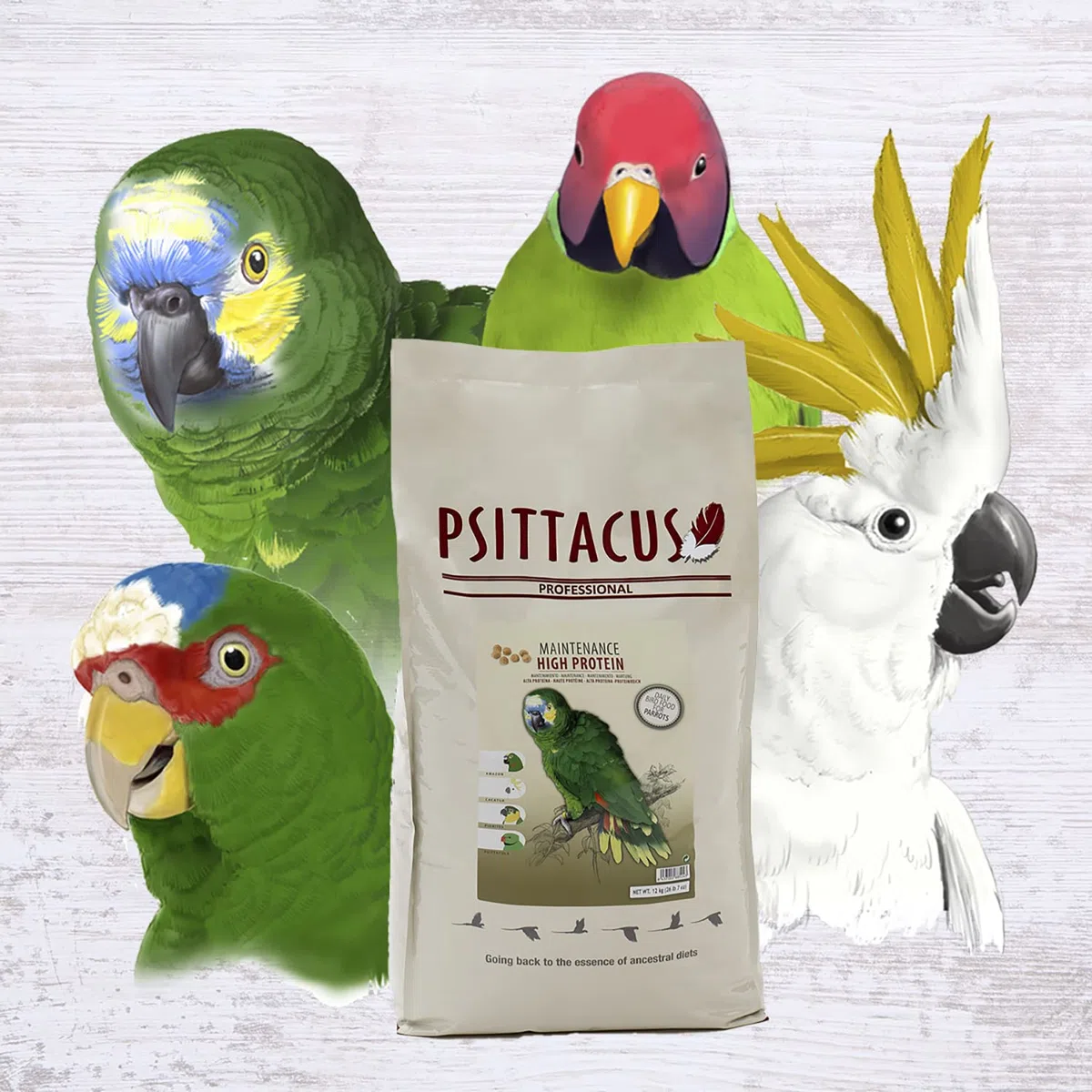 Psittacus High Protein 12 kg | Pienso Completo para Amazonas, Cacatúas y Cotorra de Kramer | Alimento Premium para Aves | 100% no-GMO