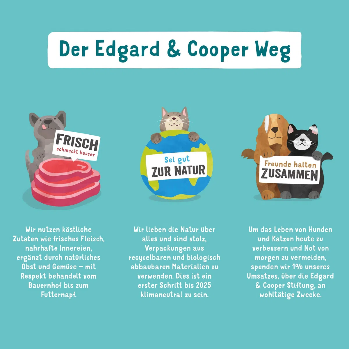Edgard & Cooper - Comida Seca para Perros Senior (Pollo y salmón, 12 kg), Comida Seca sin Cereales sin azúcar, Ingredientes Naturales, Carne Fresca, Llena de aminoácidos