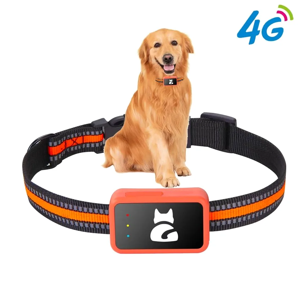 Localizador GPS para perros y gatos impermeable con aplicación gratuita – Seguimiento en tiempo real, alarma perimetral, historial de desplazamientos funciona con tarjeta Nano SIM 4G