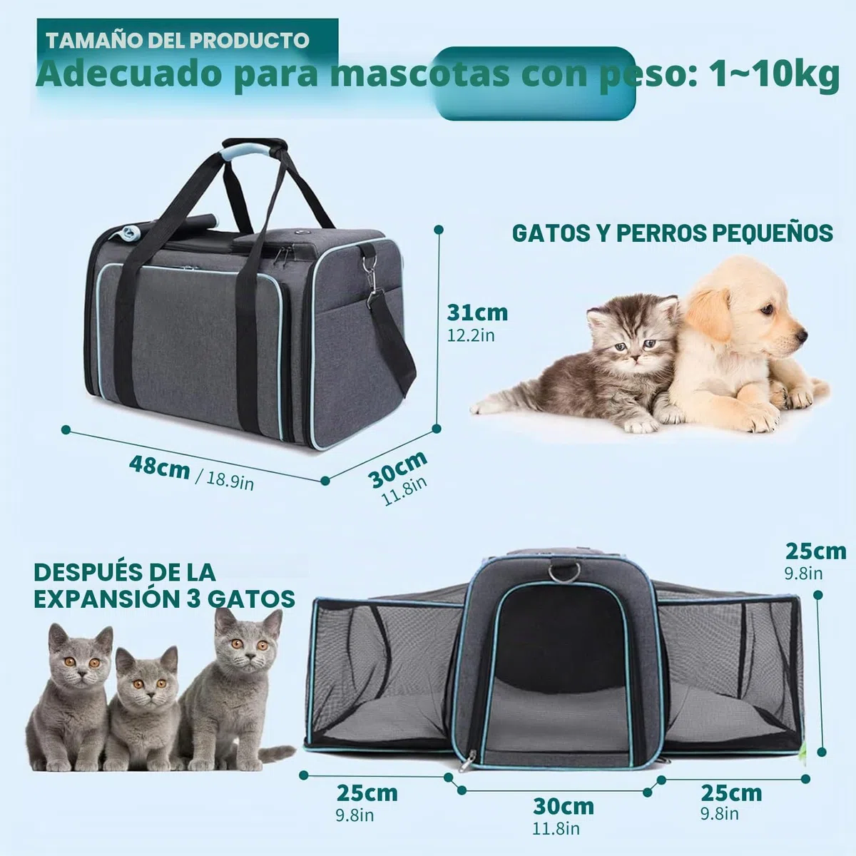 PETCUTE Transportín Extensible para Perros,Bolsa de Transporte Plegable para Gatos con Colchón Suave,Cinturón de Seguridad,Transportín Perro Pequeño,Ideal para Automóvil/Compras/Aire Libre