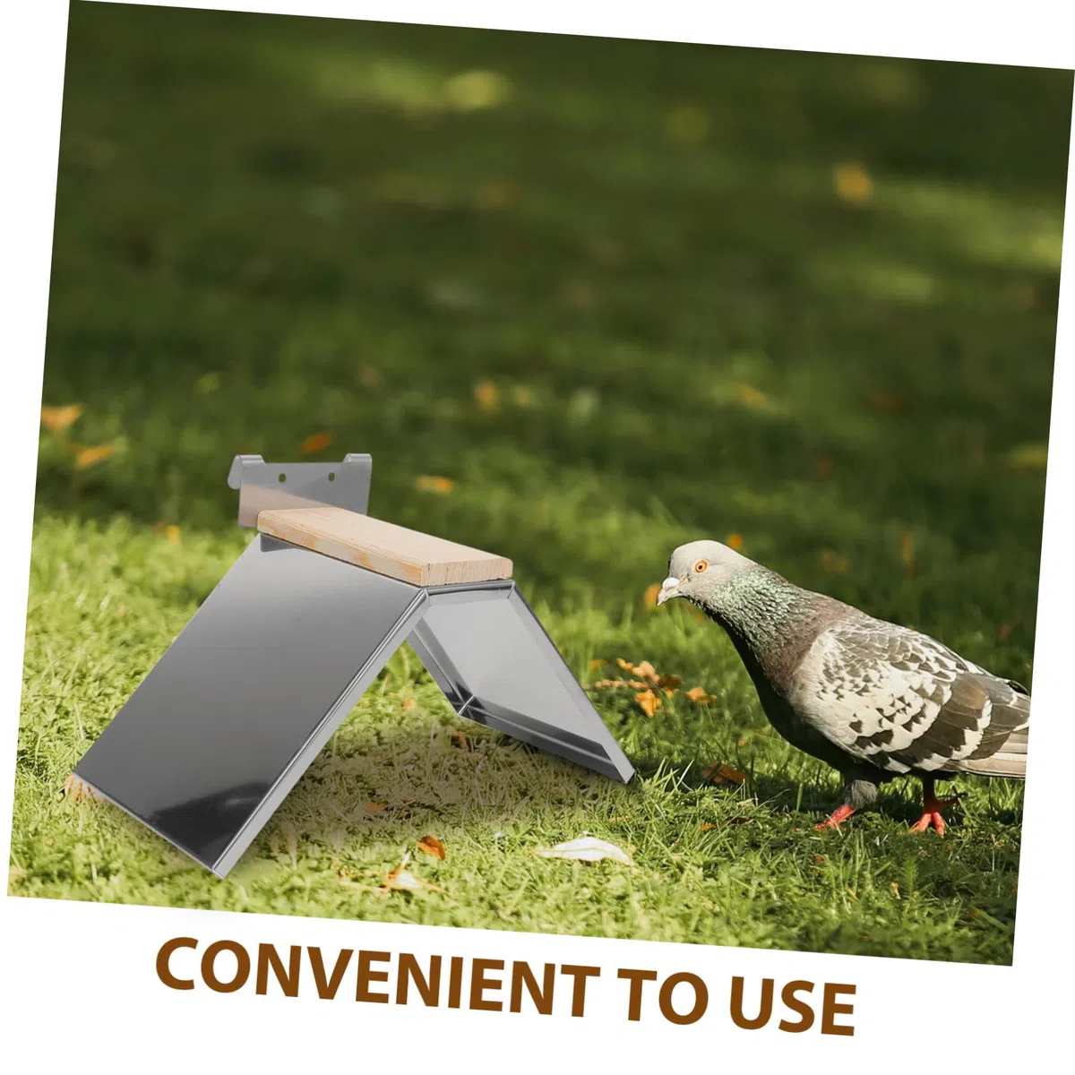 Sosoport 4piezas Soporte De Inoxidable para Aves Percha Resistente para y Pájaros Diseño Seguro y Cómodo para Periquitos y