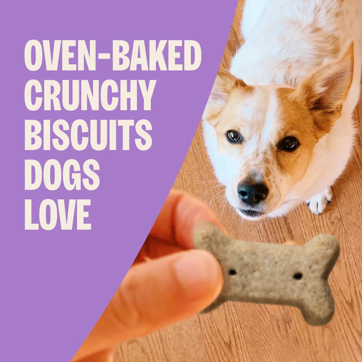 Vieja Madre Hubbard crujientes Classic Natural Dog Treats