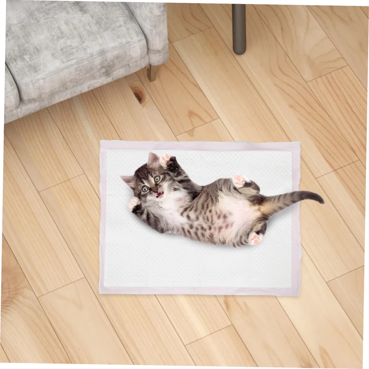 Toyvian Almohadillas para Orinar para Mascotas 50 Pcs Gruesas Superabsorbentes Antifugas para Viajes y Entrenamiento de Perros y Gatos