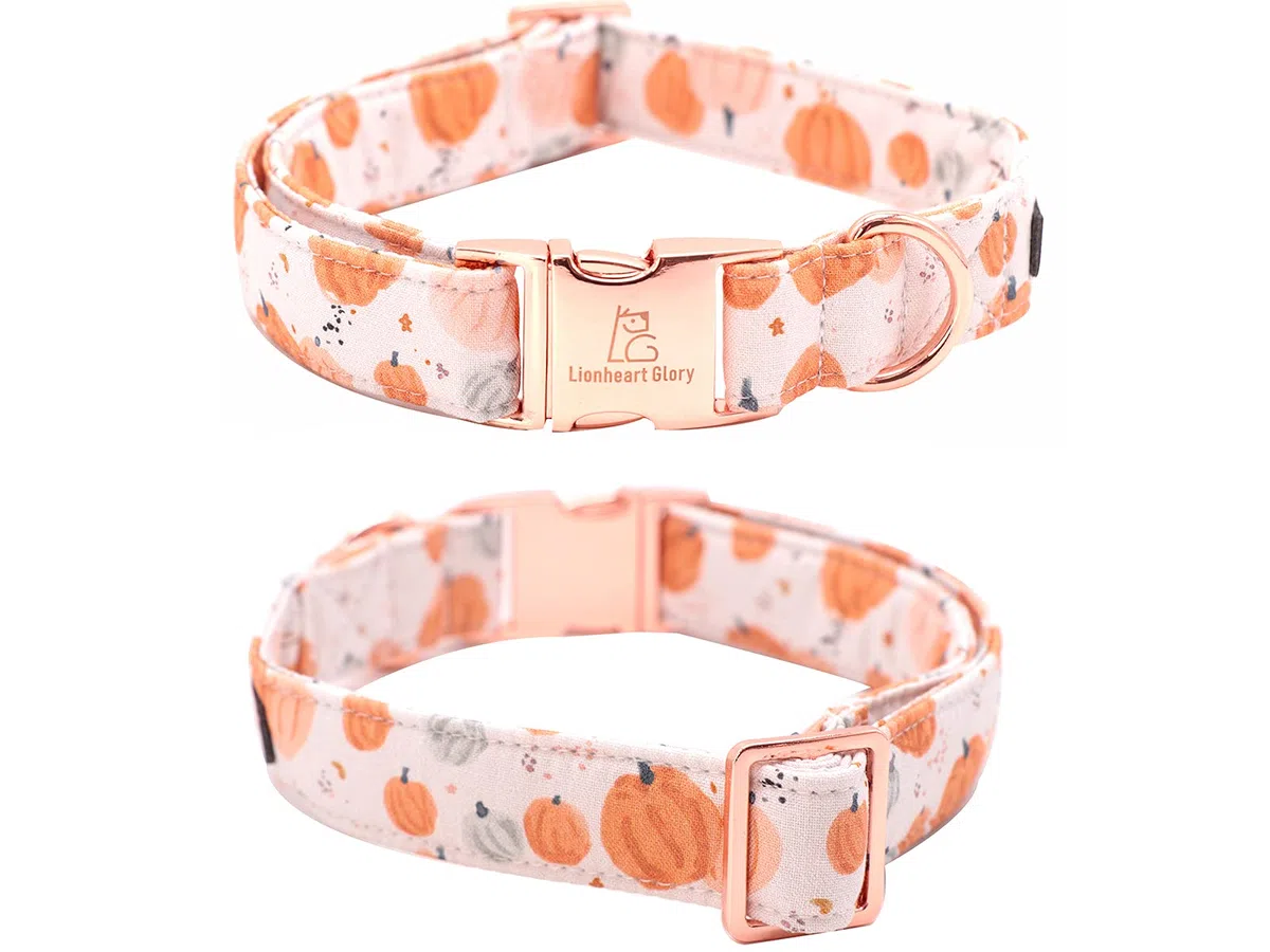 Lionheart glory Collares de perro de alta calidad, collar de perro pajarita, ajustable, resistente y resistente para perros grandes