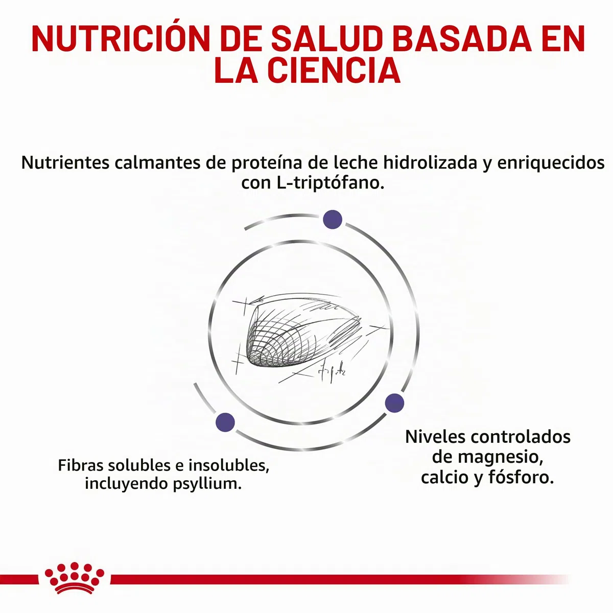 Royal Canin Expert Calm | 4 kg | Alimento Completo para Gatos Adultos | Posible Efecto Relajante | Proteína de Leche hidrolizada y L-triptófano