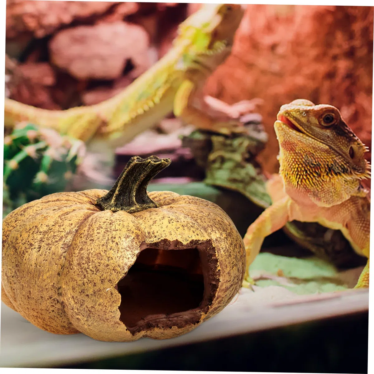 Angoily Terrario Decorativo De Calabaza para Reptiles Escondite Natural para Terrarios y Acuarios Accesorio Lifelike para y Pequeños Animales