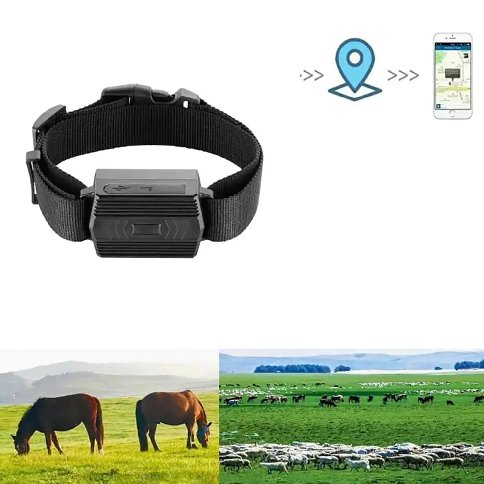 Localizador GPS para animales, rastreador antirrobo en tiempo real con monitoreo de latitud y longitud, alertas de velocidad, para ganado, ovejas y caballos