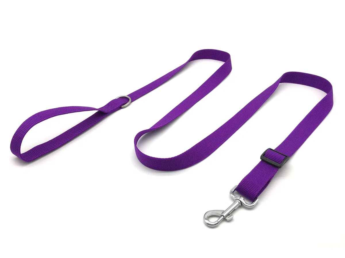 TAIAN Correa de nailon ajustable para perro, correas de perro de 4 pies, 5 pies y 6 pies de largo para perros medianos y grandes (morado)