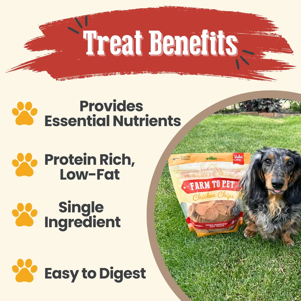One Bark Foods LLC Farm To Pet Training Treats - Chips De Pollo, Ingrediente Único, Magro, Todo Natural, Golosinas Saludables para Perros Pequeños, Medianos, Grandes Y Cachorros, Hechos En EE. UU.