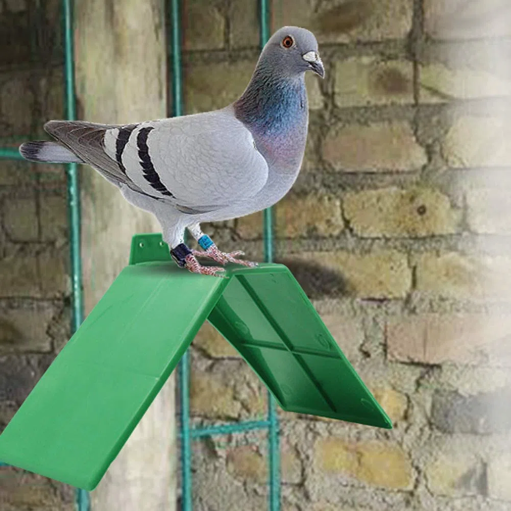 10 Piezas Soporte Descanso Palomas Pl¨¢ Perchas Vivienda Aves
