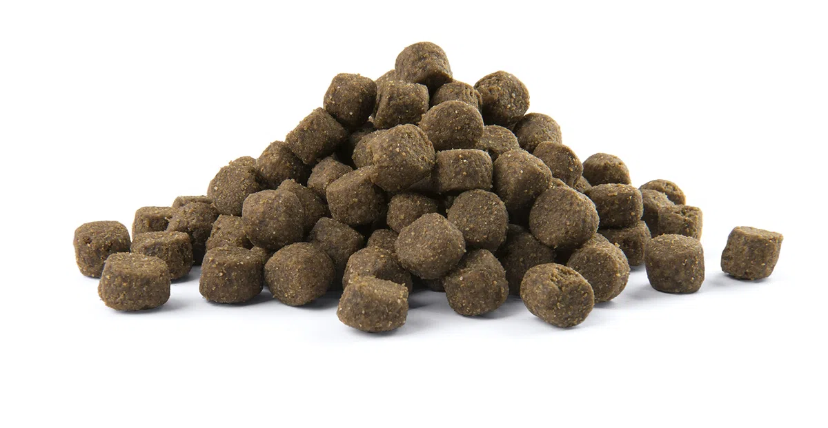 VERSELE-LAGA - OPTI Life Senior Medium & Maxi - Pienso para Perros - Razas Medianas y Grandes - 12,5kg