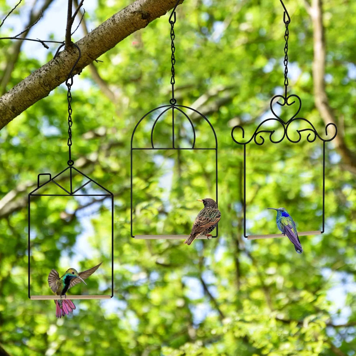 Columpios y perchas de metal para colibrí con clavija de madera, columpio para pájaros negros, para exteriores, 3 unidades