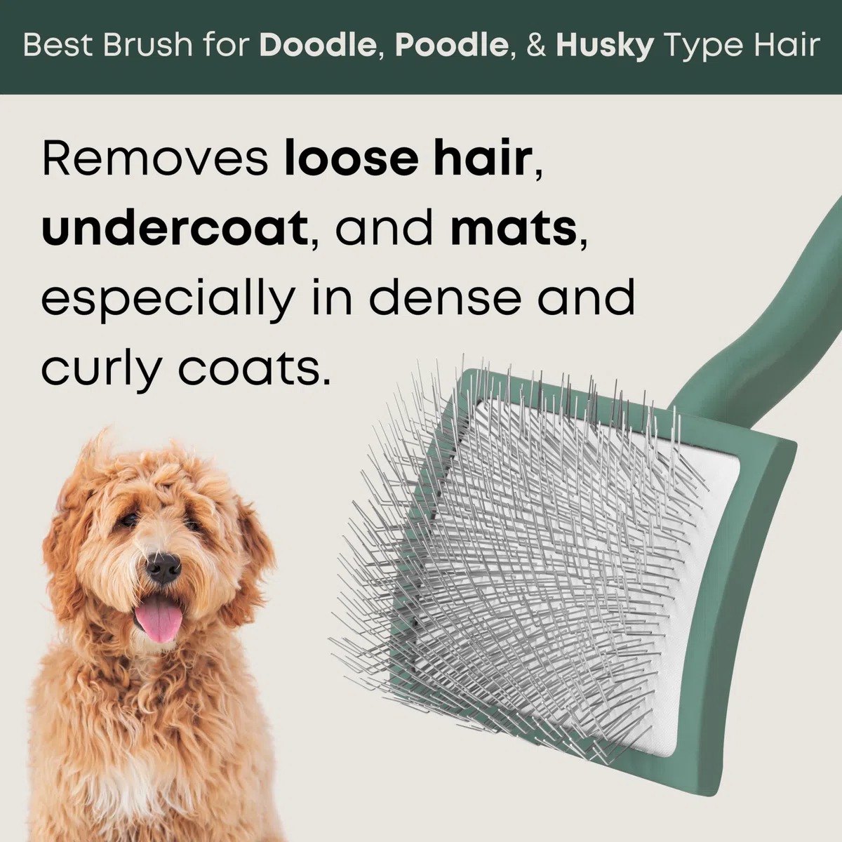 Freshly Bailey Cepillo largo para perros, ideal para perros de pelo mediano a largo, ideal para el aseo de garabatos, caniche, husky, goldendoodle, Bernadoodle, labradoodle, verde curvado