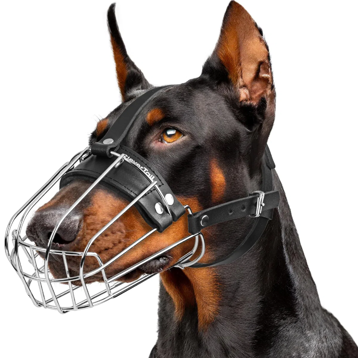Bozal para perro Doberman L