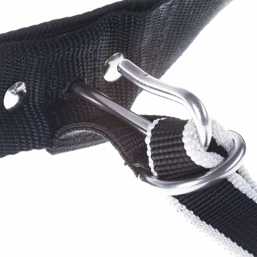 Cinturón de Trekking Nonstop para Perros - Ideal para Correr y Senderismo (M, Azul)