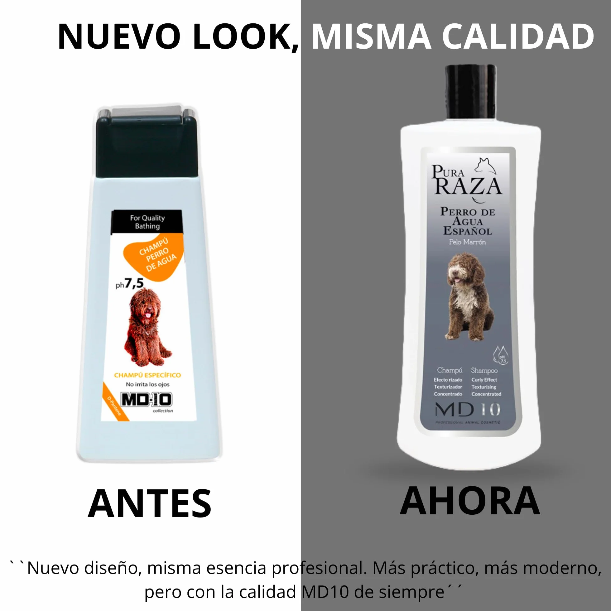 Champú para Perro de Agua Español Pelo Marrón de Diferentes Tonalidades - Champú Texturizador de Rizos Hidratante, Vegano y Biodegradable - Fabricado en España - 5 l - MD-10 COLLECTION