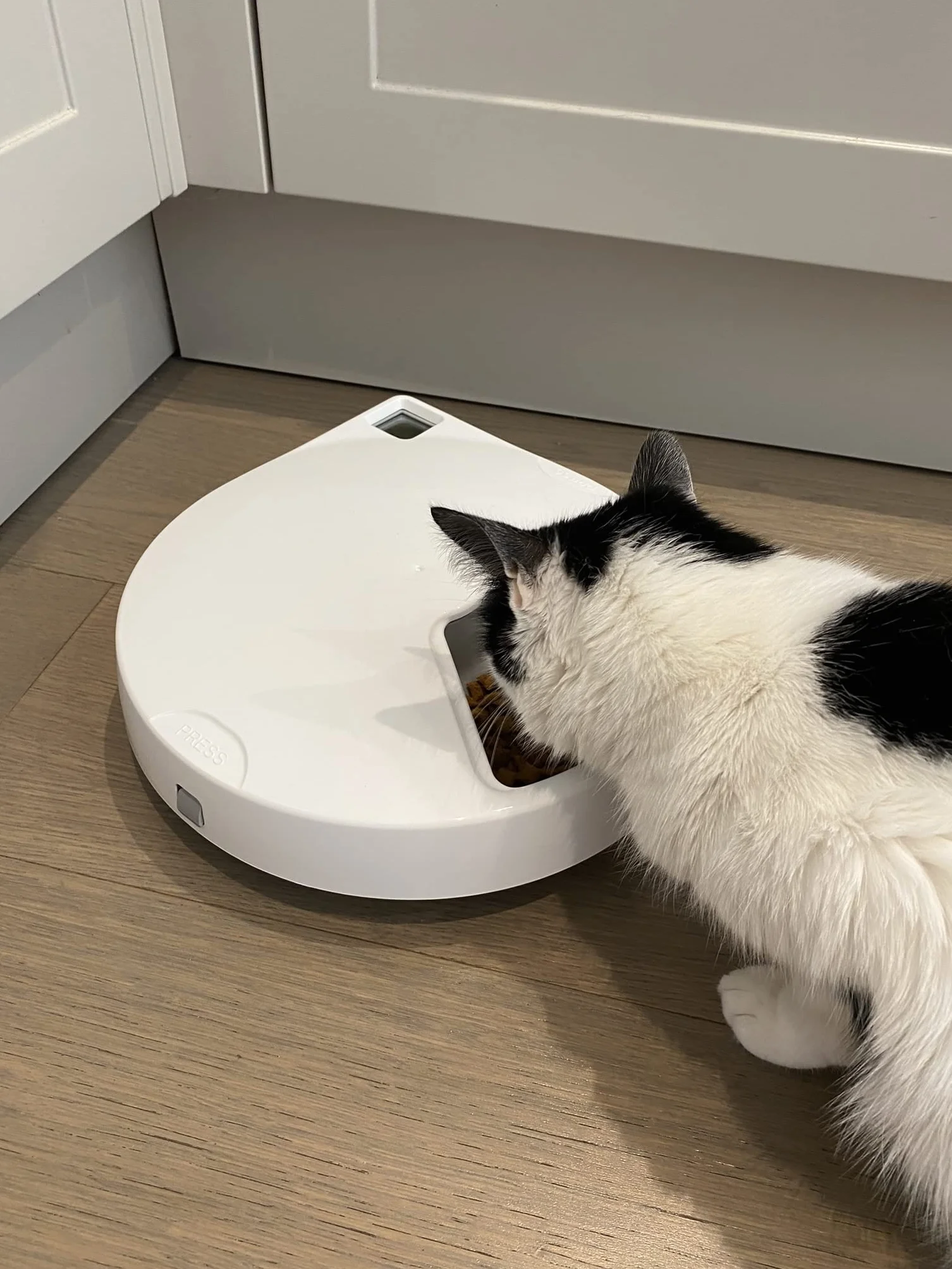 Cat Mate Comedero automático para Mascotas de Cinco Comidas con Insertos de Cuenco de Acero Inoxidable y Paquetes de Hielo (C500)