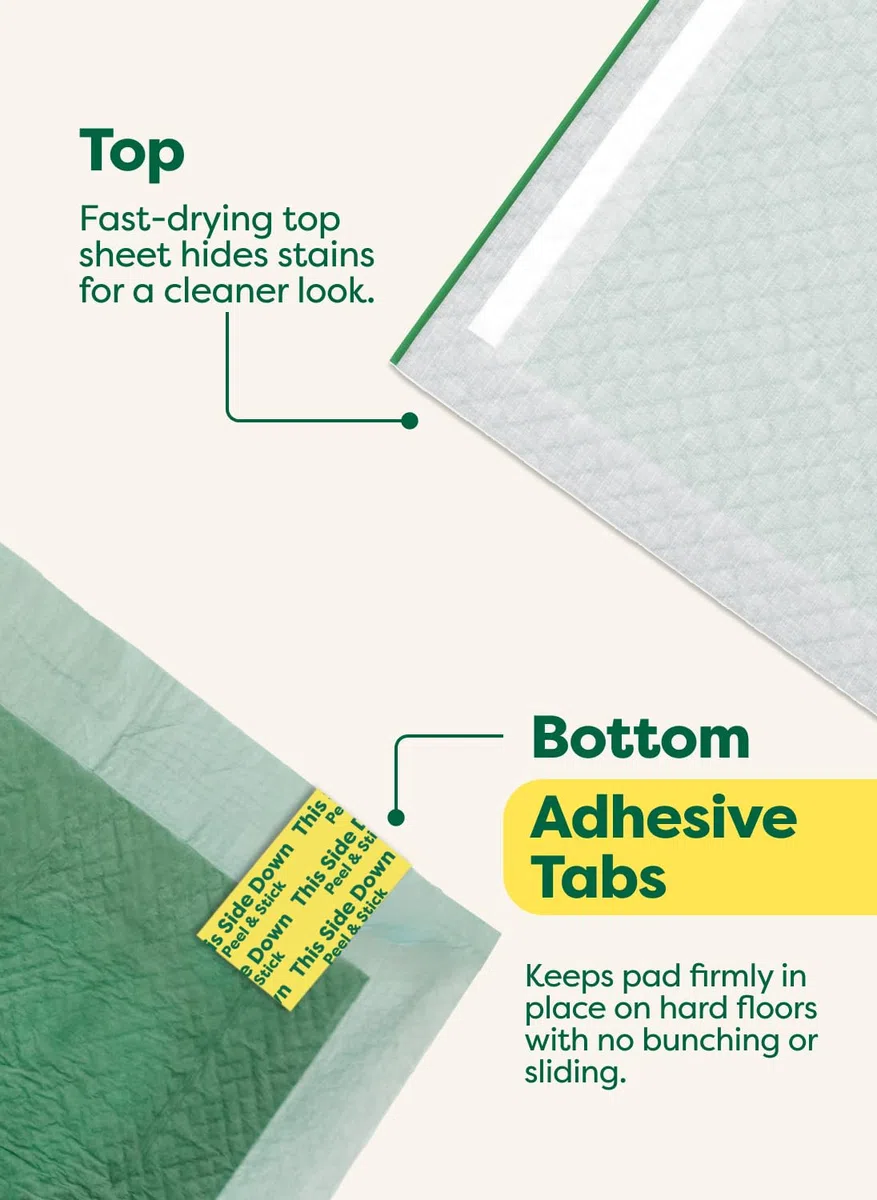 Earth Rated Max Absorbency - Almohadillas para orina de cachorros para perros absorben 2 veces más rápido y 2 veces más, a prueba de fugas, control de olores, sin perfume, grande, 22 x 23 pulgadas, 40