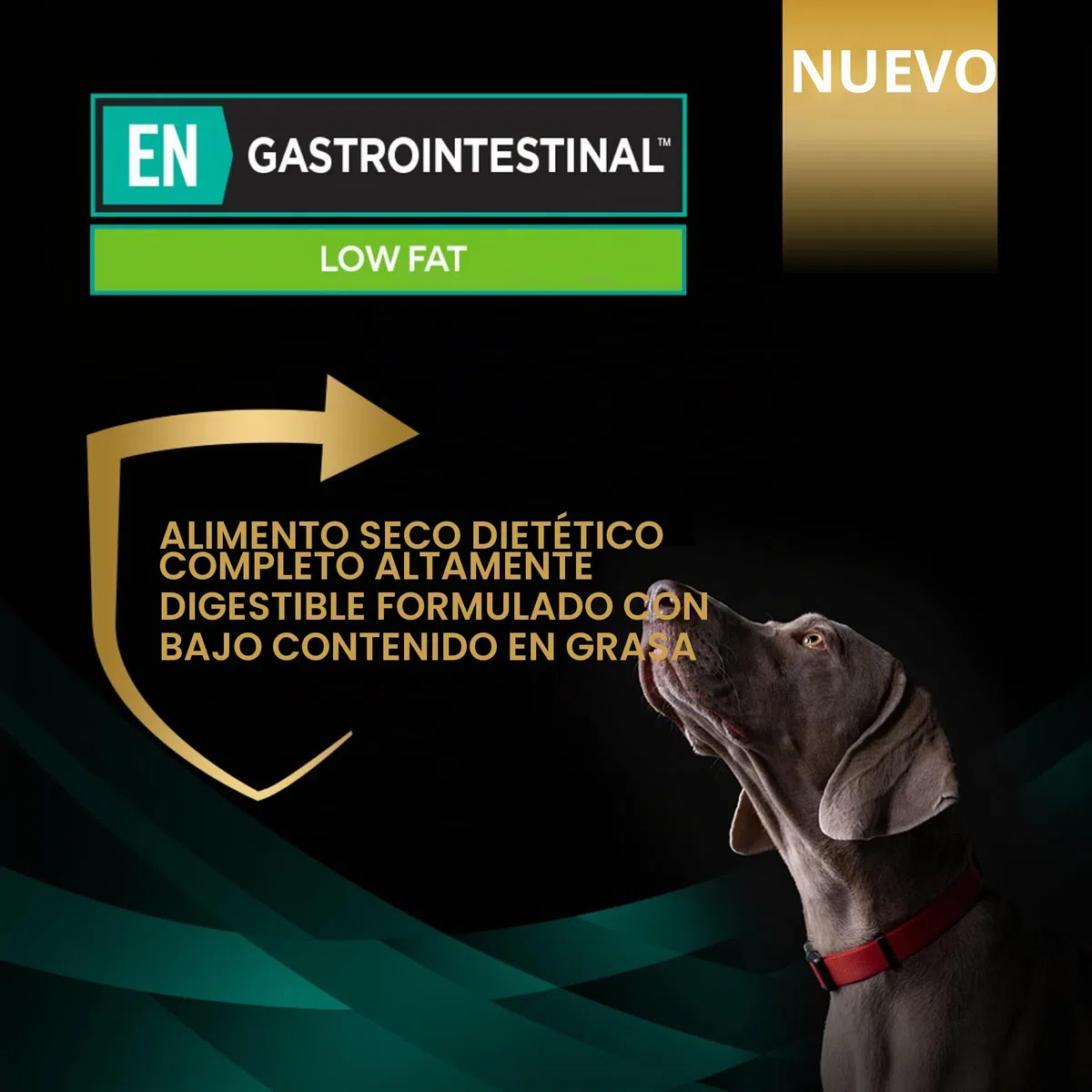 Purina ProPlan Veterinary Diets EN Gastrointestinal Low Fat | 11 kg | Alimento dietético Completo para Perros Adultos