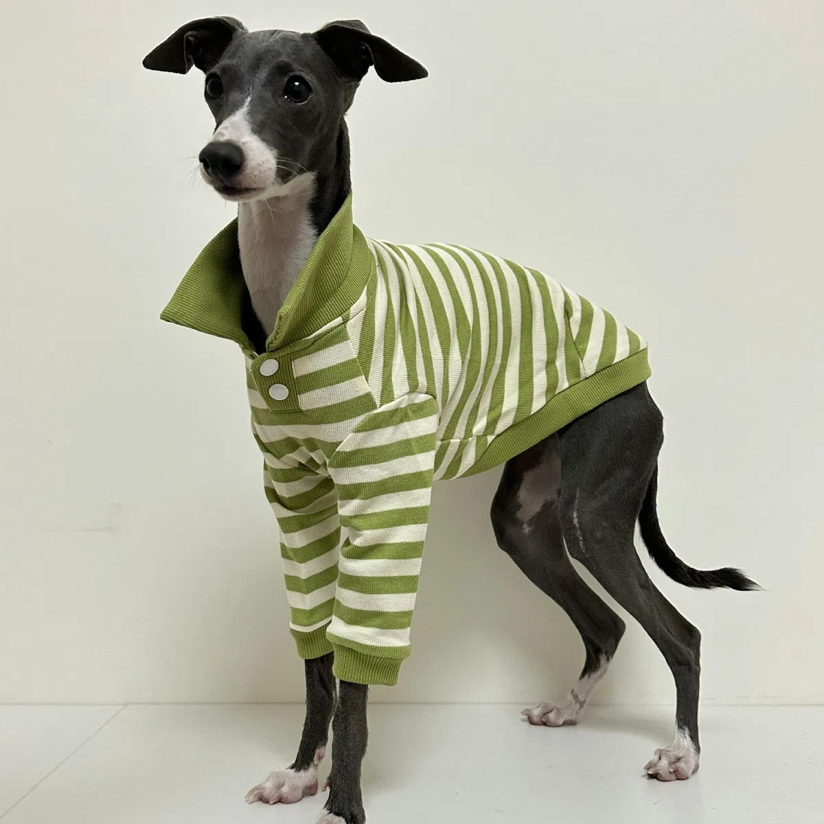 Camisas para Perros Polo para Perros a Rayas Transpirables con Cuello Polo y Mangas Ropa para Perros medianos Grandes Niño Niña Otoño Invierno Jersey para Perros Ropa para Galgos Italianos