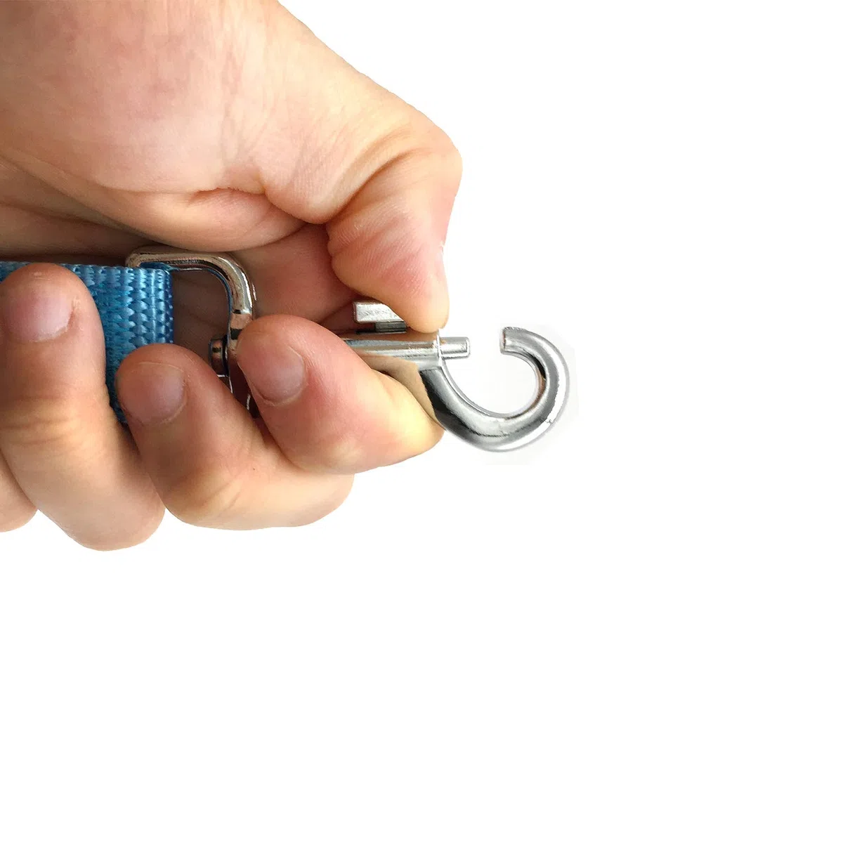 TAIAN Correa de nailon ajustable para perro, correas de perro de 10 pies de largo para perros medianos y grandes (azul)