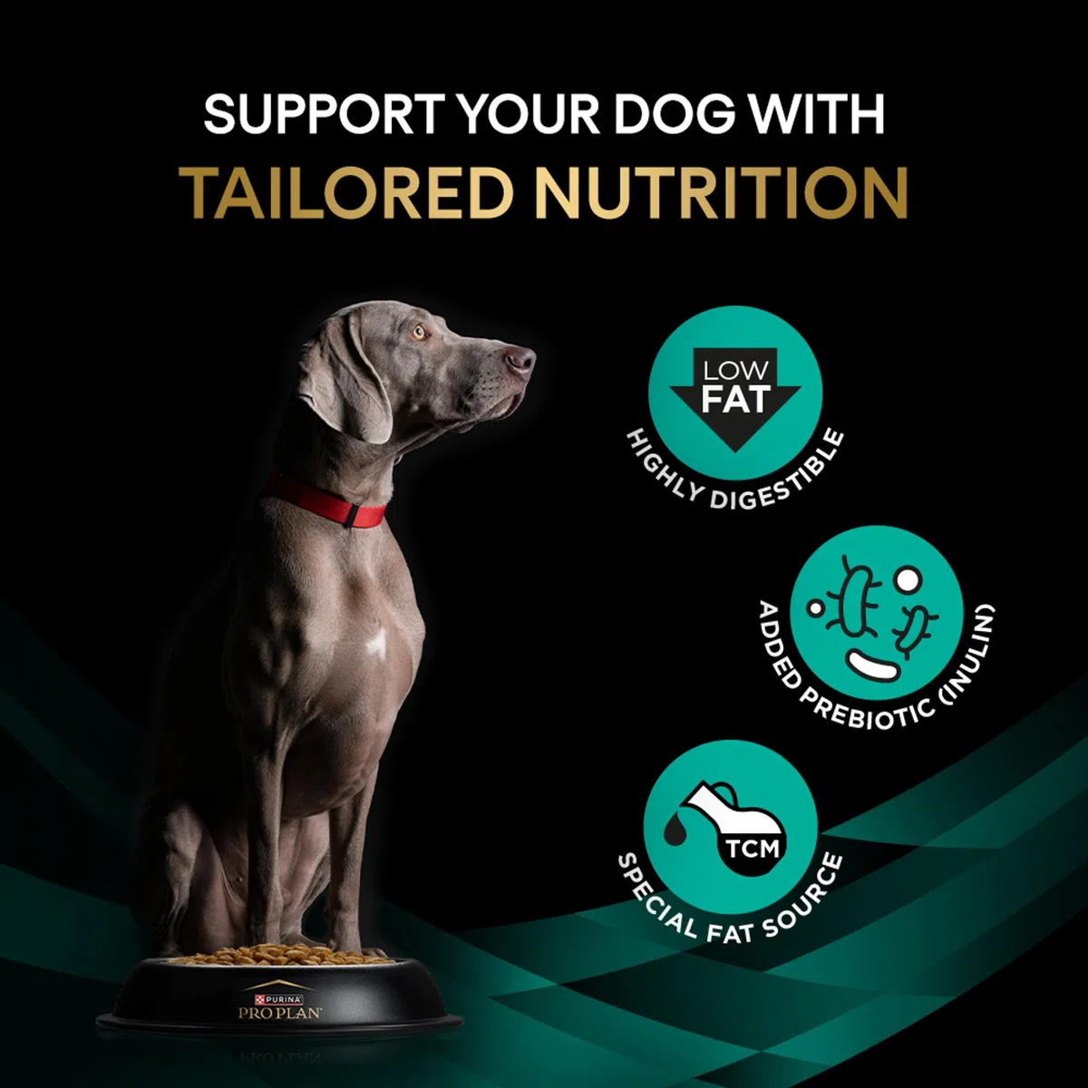 Purina ProPlan Veterinary Diets EN Gastrointestinal Low Fat | 11 kg | Alimento dietético Completo para Perros Adultos