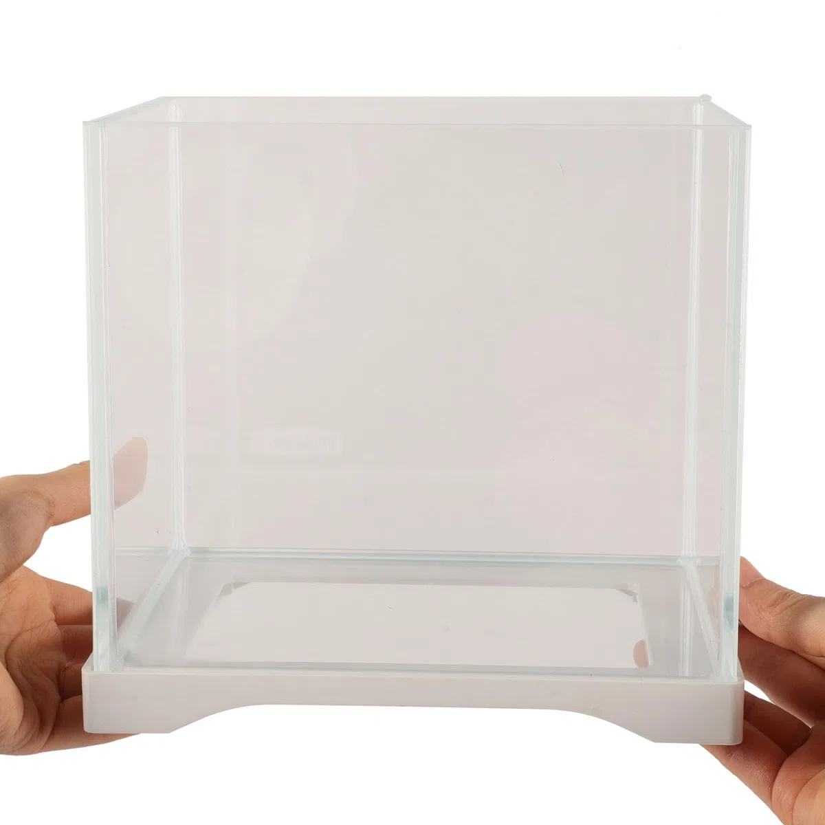 Mini Acuario Cúbico de Vidrio para Betta y Plantas Acuáticas