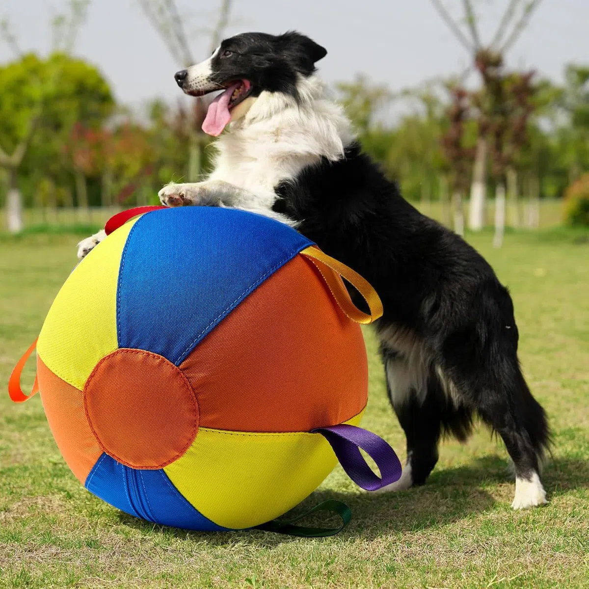 Juguete Pelota Perro Juguete para Cachorros antimordiscos Juego y Ejercicio