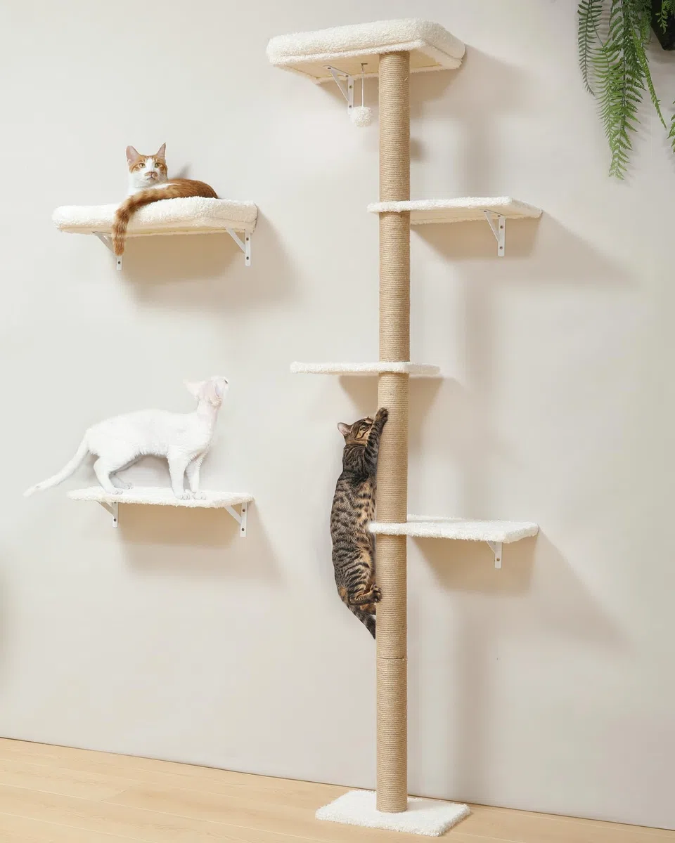 FUKUMARU Rocódromo para Gatos, 178 cm de Altura, Robusto Conjunto 3 en 1 de Madera Maciza Multicapa, con rascador y 2 estantes de Pared, Pared para trepar Que Ahorra Espacio, Beige
