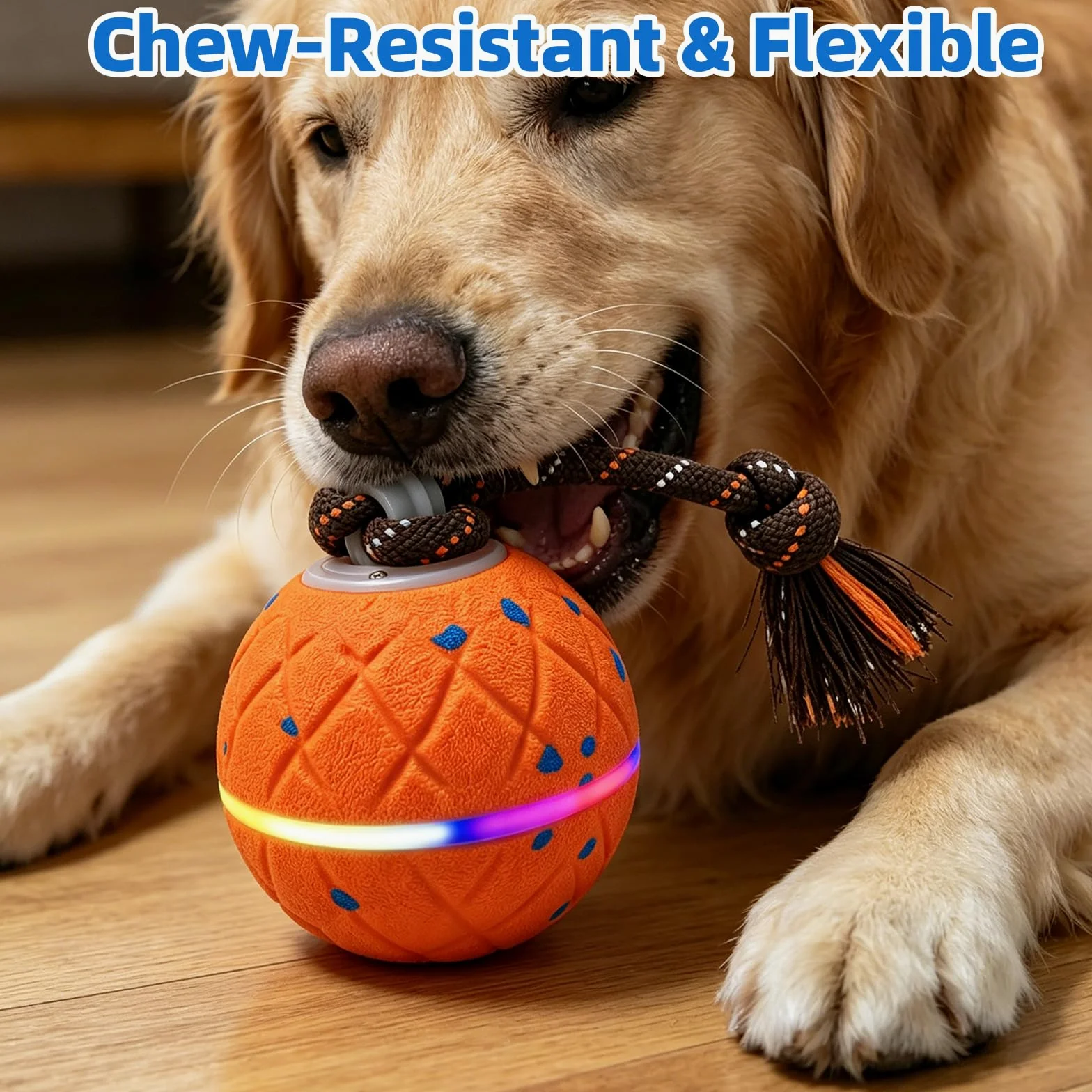 Pelota Interactiva para Perros - Wicked Ball Rolly con Cuerda y Ladridos, Juguete Interactivo Inteligente para Perros con 2 Modos de Juego, E-TPU, USB-C Recargable, Luces RGB, Adecuado para Perros