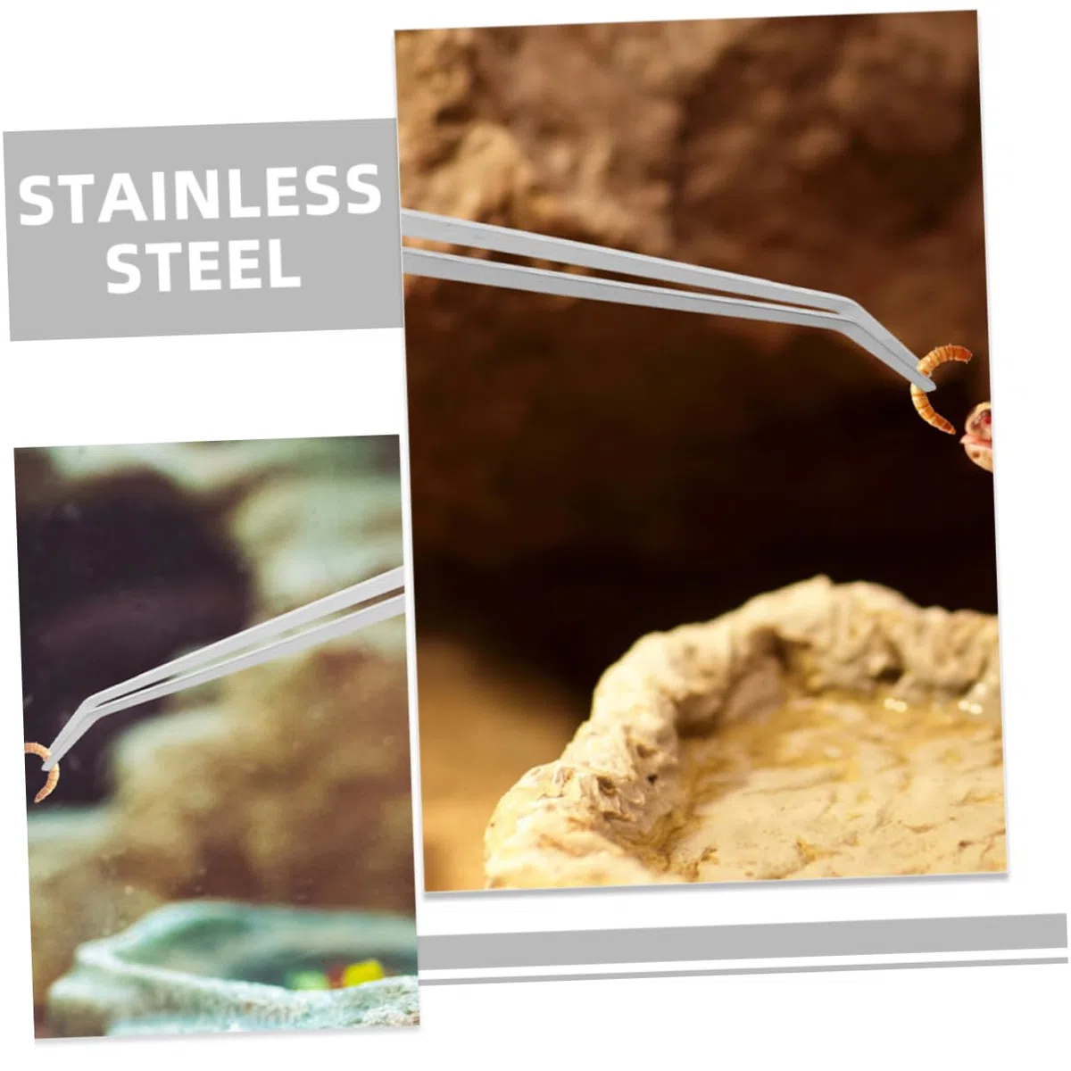 BESPORTBLE 10piezas De Alimentación para Reptiles De Metal Extra Largas Herramienta Práctica para Acuarios y Terrarios para Suministrar Comida Reptiles y Peces