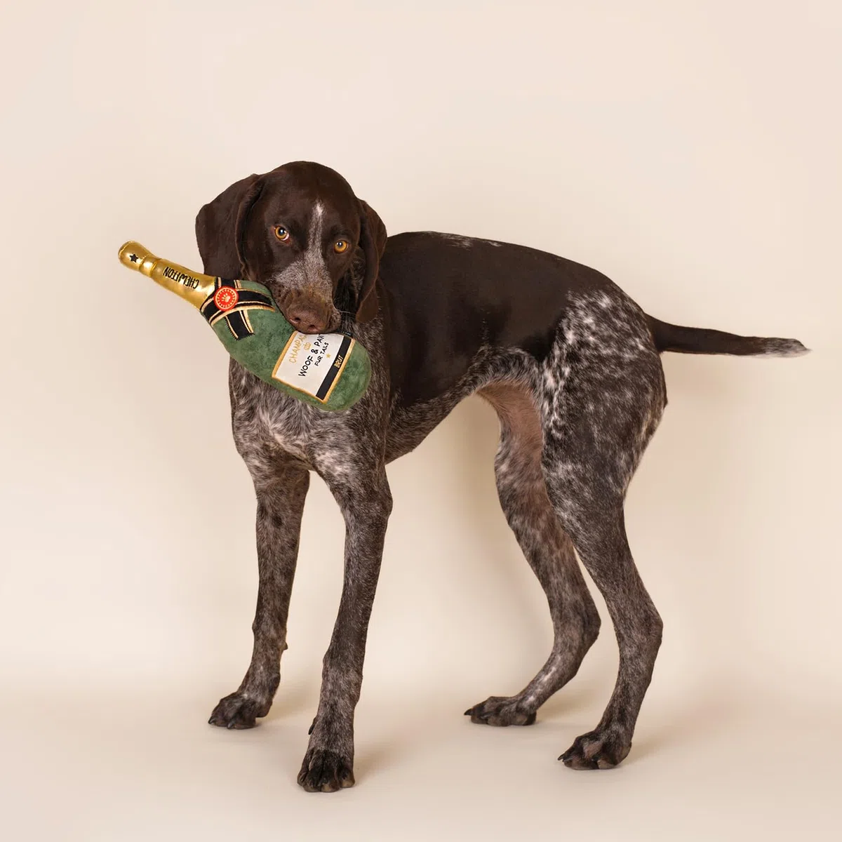 CHEWFFON Juguete para perros, juguetes chirriantes para el aburrimiento, juguete masticable de peluche para perros de todas las razas, juguetes interactivos para perros en forma de champán para