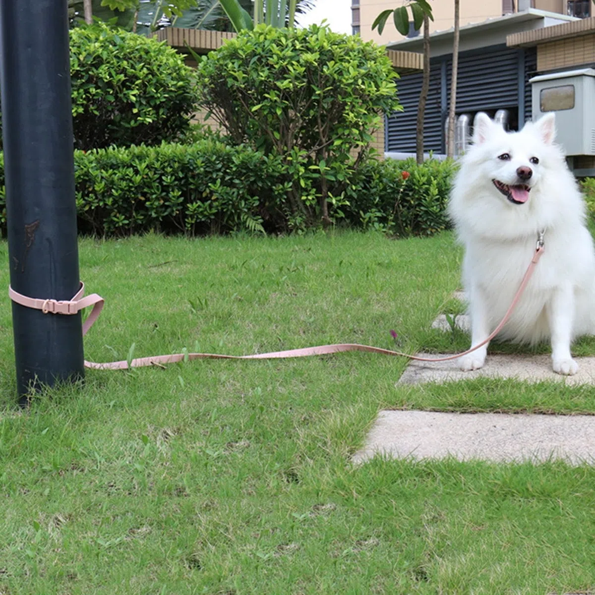 Juego de correas para perros, juego de arneses para perros - sin arnés de | tracción - Juego de correas multifuncionales para perros medianos, fácil de caminar, para todos los días, collar de perro