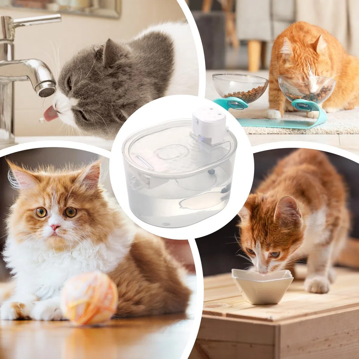 Fuentes de Agua para Gatos Bebedero Automático Recargable de Agua de 3L con | Fuente Agua De Perros Cachorros Perros y Animales Interiores Escritorio Mesa Beber Agua