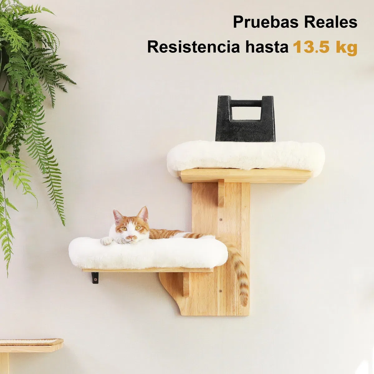 FUKUMARU Estantes de pared para gatos, 2 plataformas, muebles de pared para gatos, estante flotante en forma de árbol con cojín suave, percha de madera maciza para gatos de 16 pulgadas, apto para