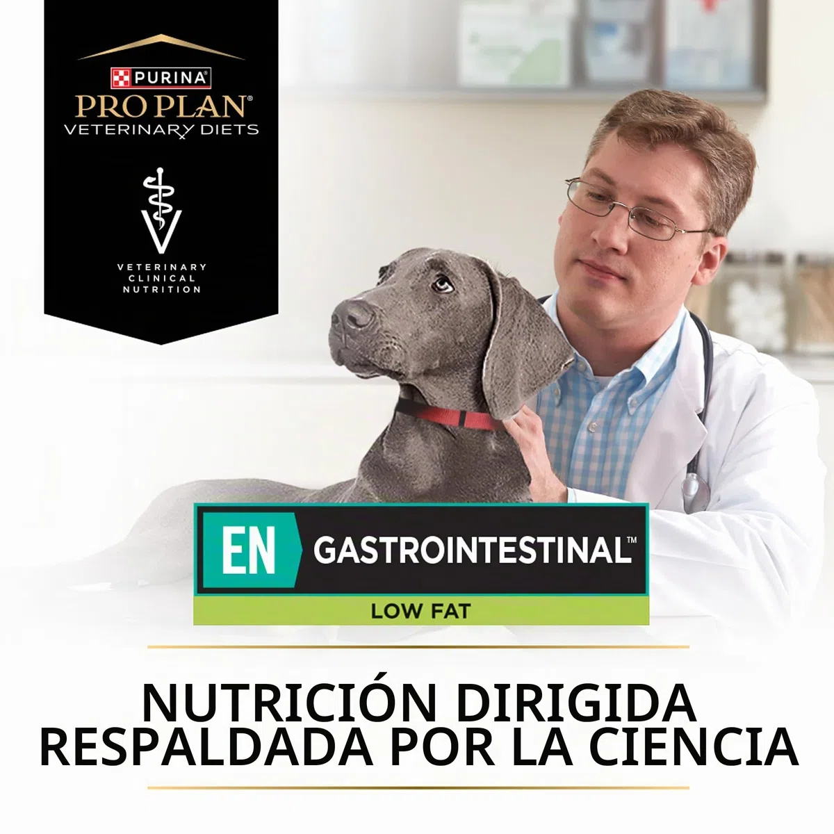 Purina ProPlan Veterinary Diets EN Gastrointestinal Low Fat | 11 kg | Alimento dietético Completo para Perros Adultos