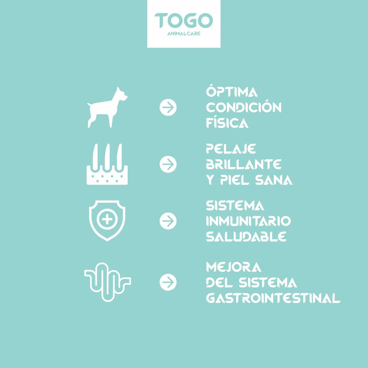 Pienso Togo Hipoalergenico Natural Veggie Perros [12 kg] Comida SIN Cereales | Apto para Todas Las Razas y Tamaños | Ideal Sistema gastrointestinal, renal y Articular | Proteínas y Light