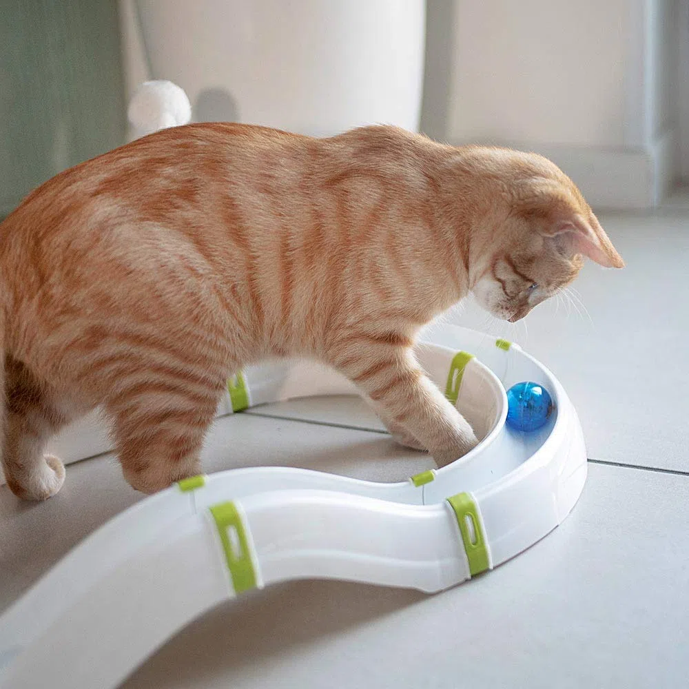 Ferplast Juguete Interactivo para Gatos Labyrinth Circuito Juguete para Gatos con Resorte, Bola Luminosa incluida, 72 x 40 cm