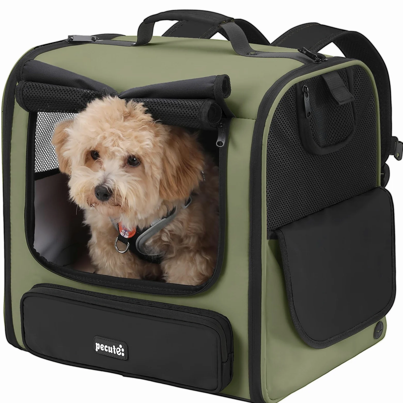 Pecute Mochilas para Gatos ensanchadas < 6 kg, Bolsas de Transporte para Perros, Asiento de Coche para Perros, estables seguras, Transpirables para Senderismo al Aire Libre, Viajes en Coche