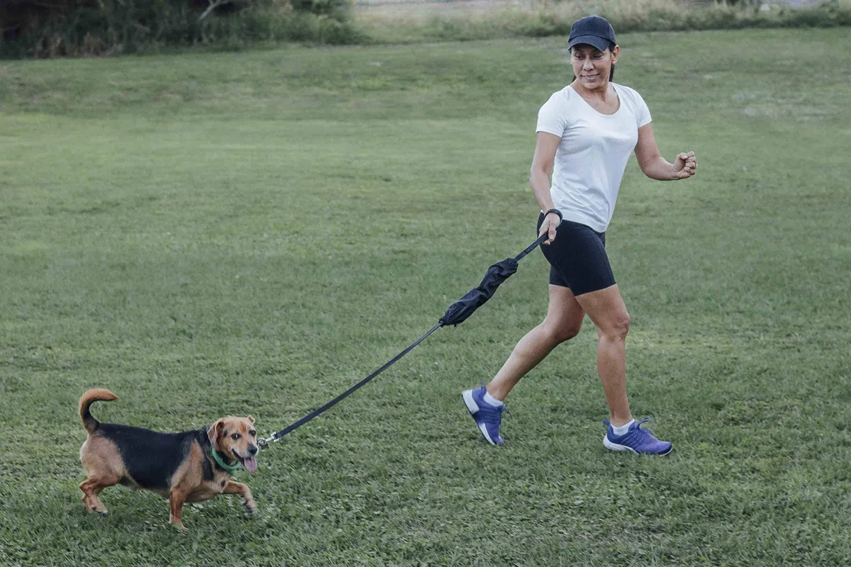 K9 Caca Caddy | Transportador de basura multifuncional para perros y bolsa de basura para perros con compartimento separado para guardar objetos comunes diversos, como llaves, dinero en efectivo o