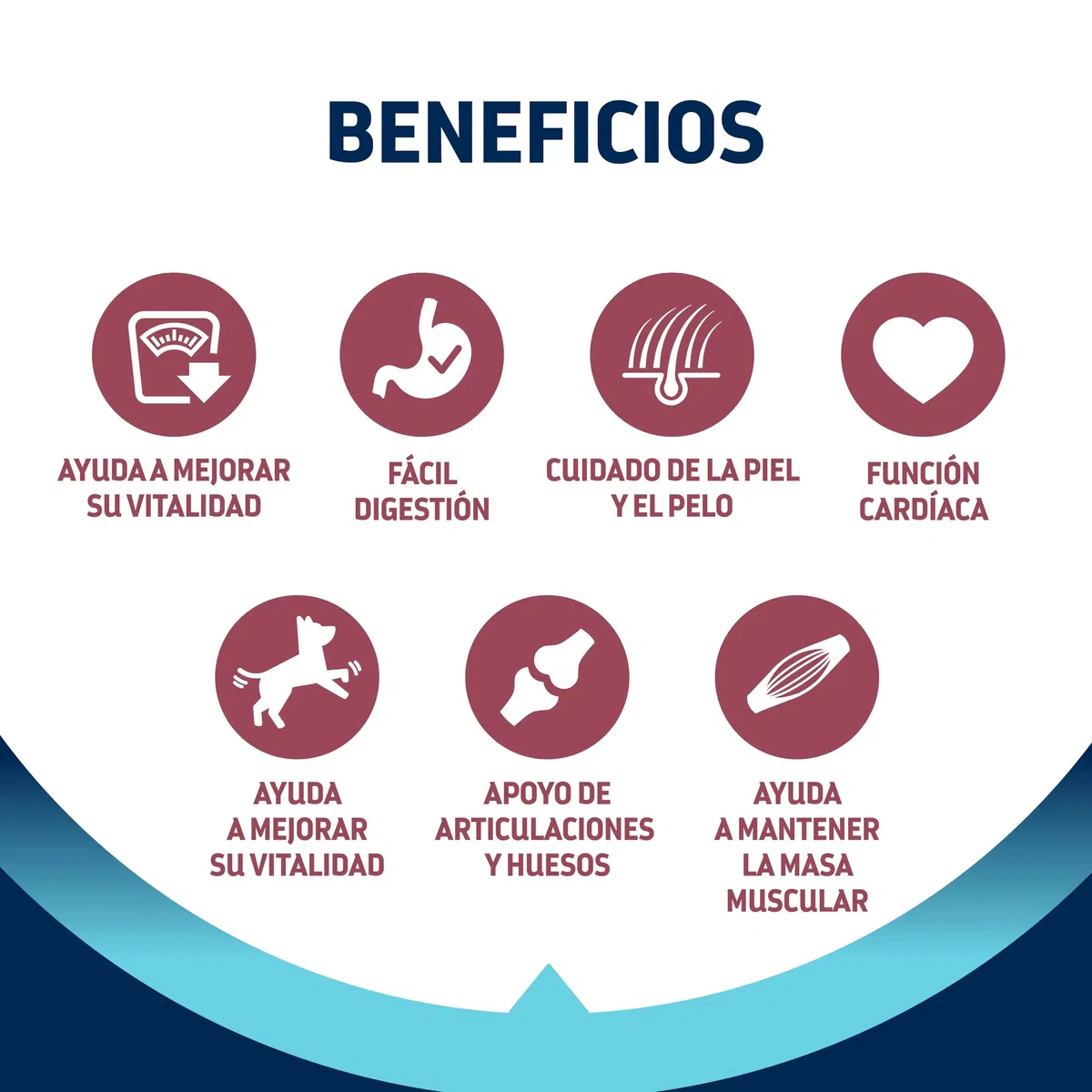 Advance Maxi Senior, Pienso para Perros Senior (+6 años) de Razas Grandes con Pollo, 12kg