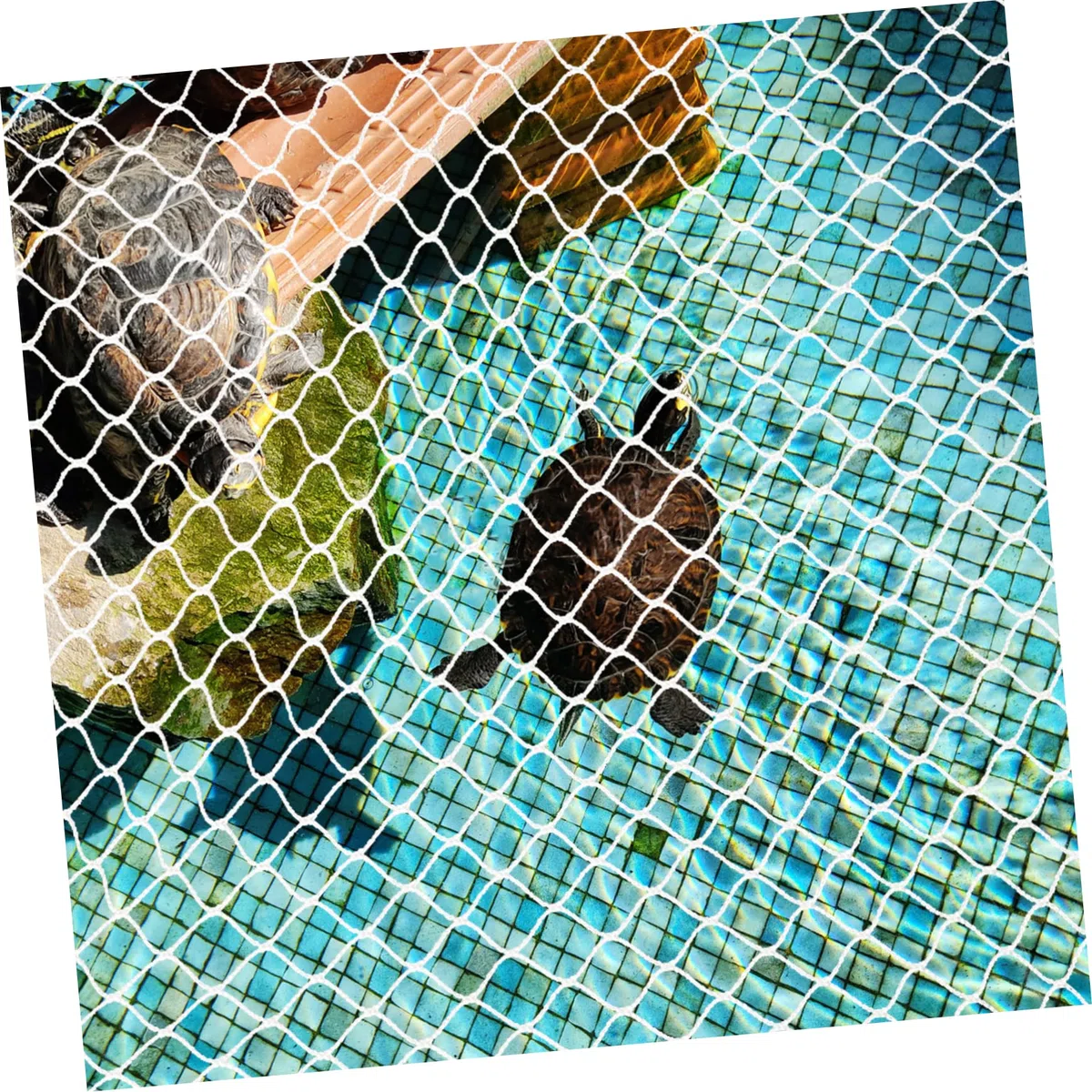 BESPORTBLE 5piezas Protección para Peces De Acuario Malla Transpirable y Transparente para Evitar Saltos y Escapes para Acuarios y Aves