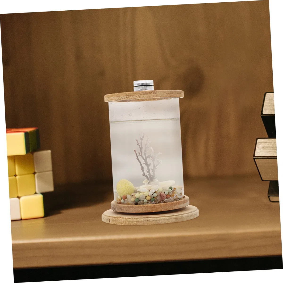 YARNOW Acuario Decorativo De Escritorio Pecera Doméstica Ecológica Accesorio De Oficina