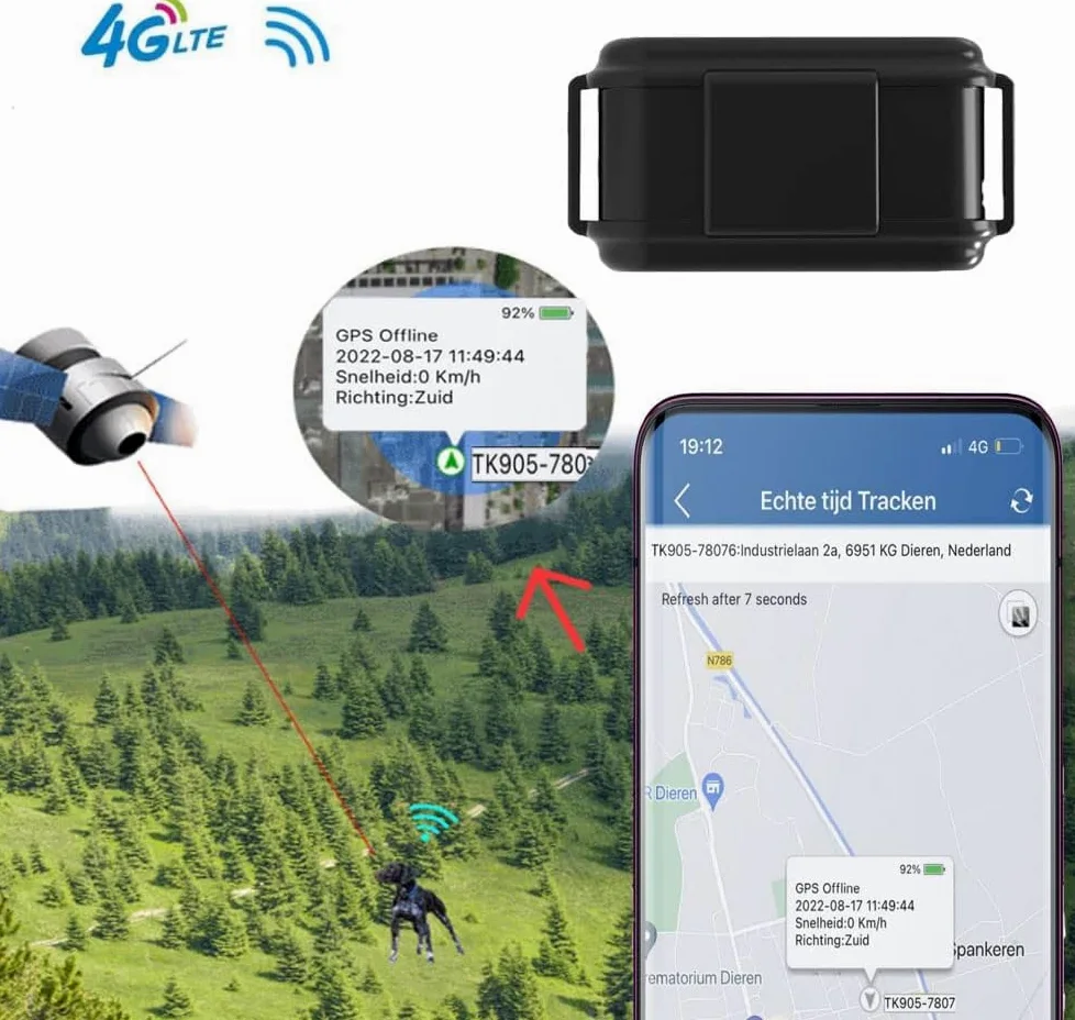 GPS para collar de perros 4G, rastreador de actividad en tiempo real, satélite para collar de gato y perro - Impermeable - Localizador con aplicación gratuita