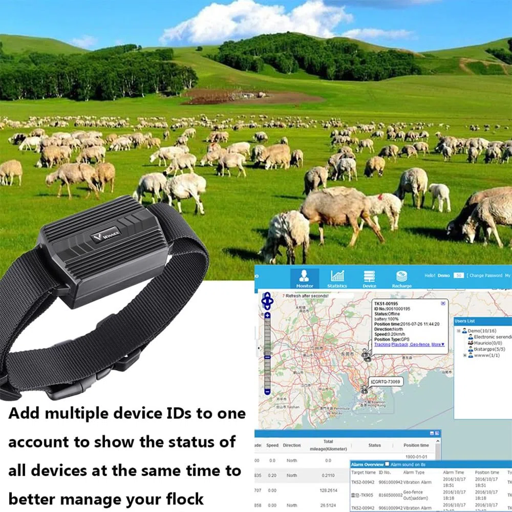 TKMARS Collar GPS 4G para Perros de Caza Caballos Vacas Ovejas 3000mAH Batería Localizador GPS para Animales Grandes Resistente al Agua IP66 Seguimiento en Tiempo Real, Alerta de Geocerca TK935