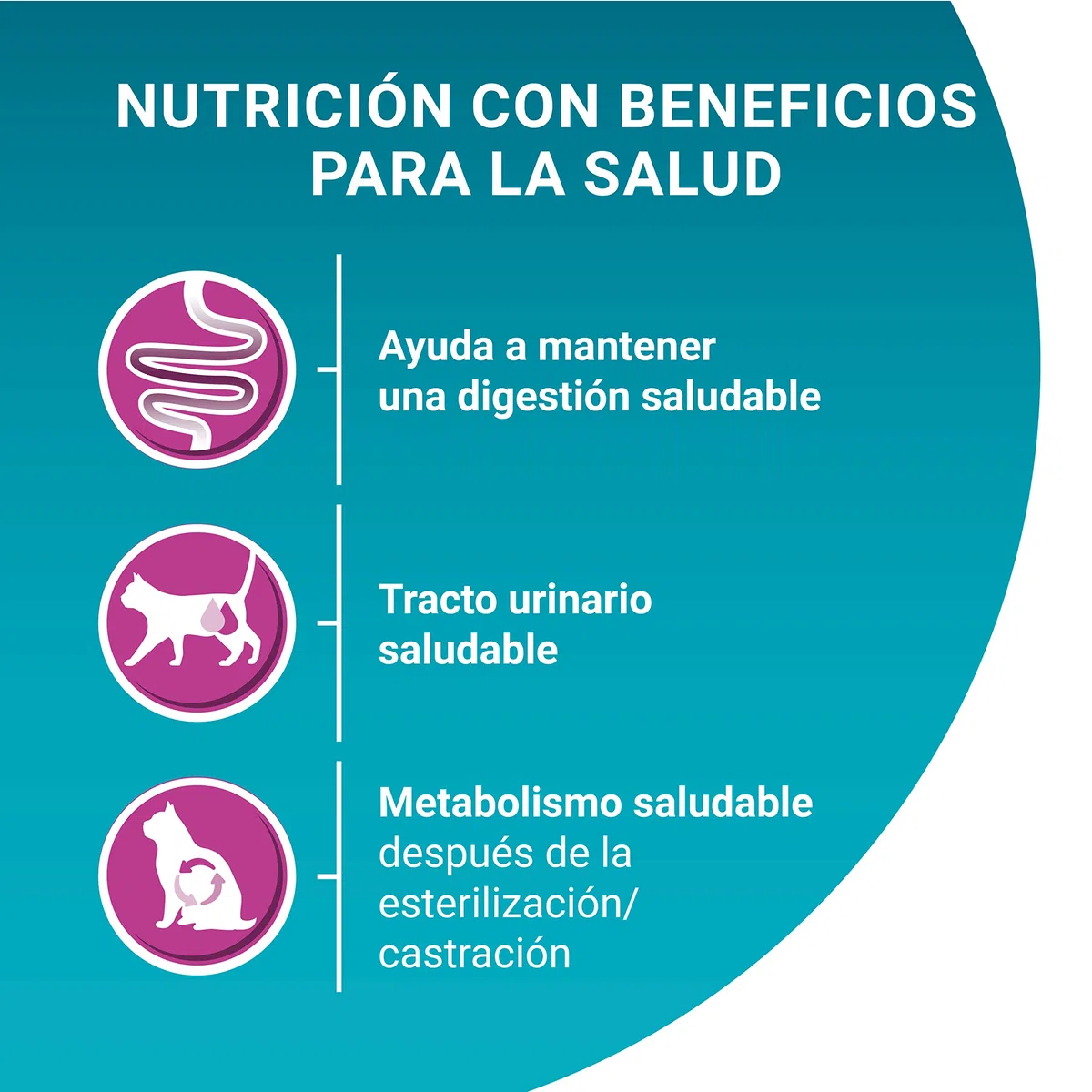 Purina ONE pienso gato Esterilizado Adulto digestión Sensible 6x1,5 kg