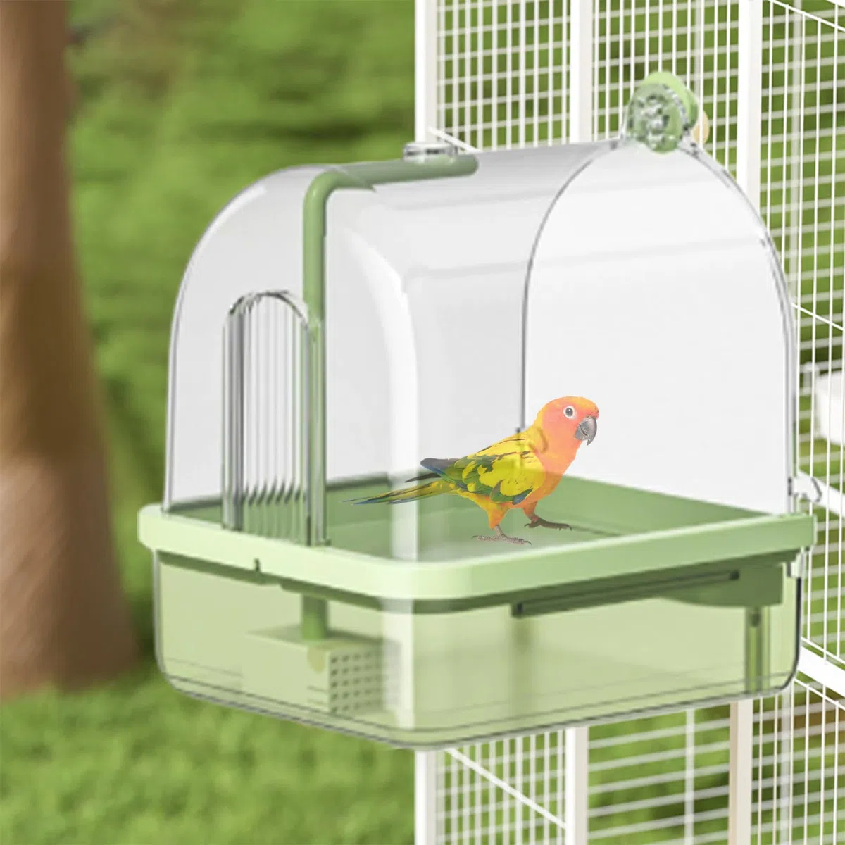 Bañera para Pájaros Que Se Coloca En Jaulas Ducha Automática Periquitos 2