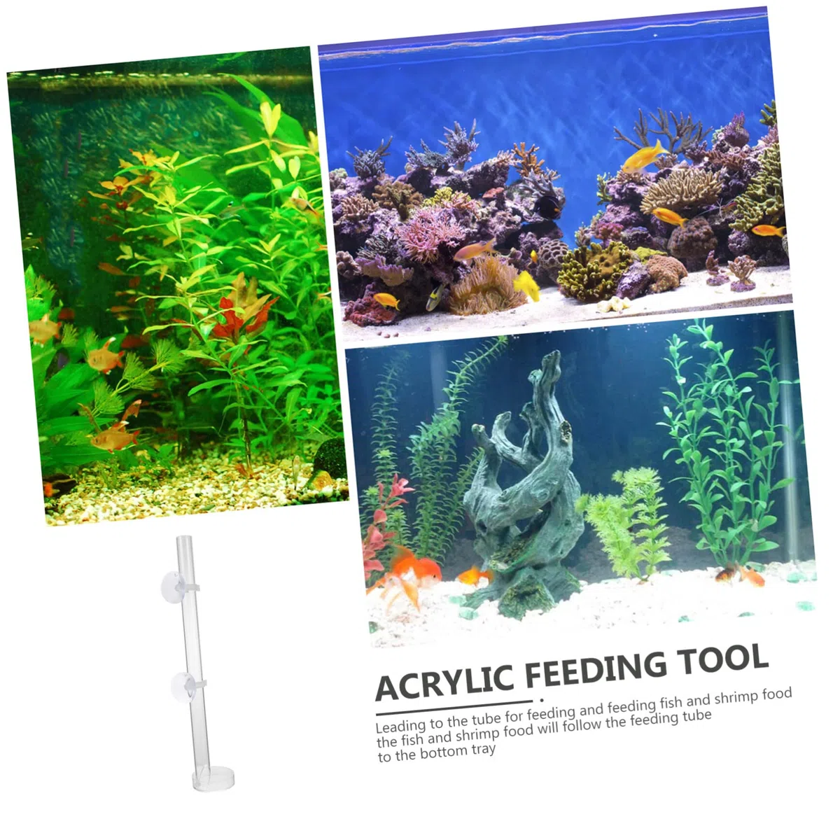 Mipcase 2 Juegos De Bases De Alimentación para Acuarios Sin para Camarones Cangrejos Y Peces Tropicales Fáciles De Usar.